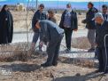 گزارش تصویری |  آیین غرس نهال و تجلیل از پرسنل زحمتکش فضای سبز و باغبانی دانشگاه صنعتی شاهرود 